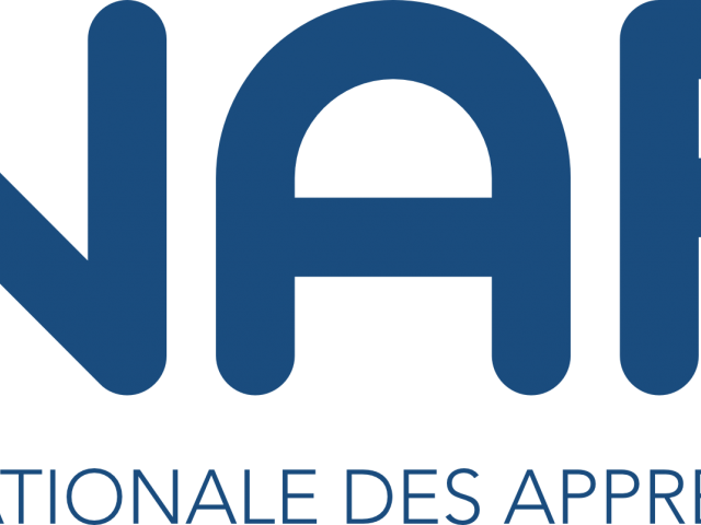 Logo Anaf