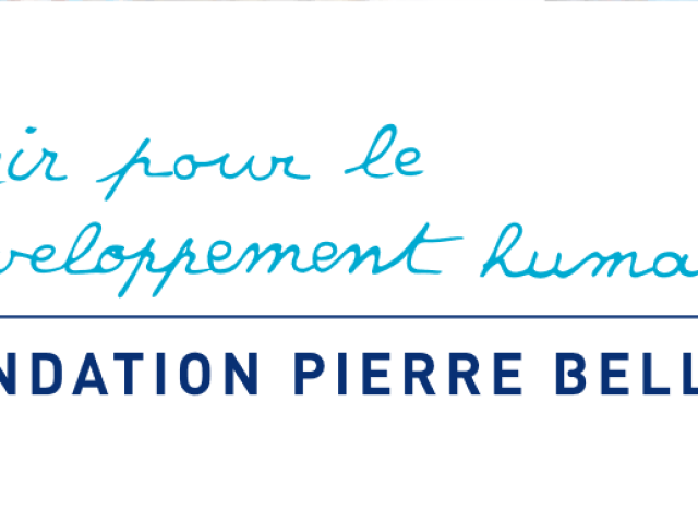 Logo Fondation Pierre Bellon