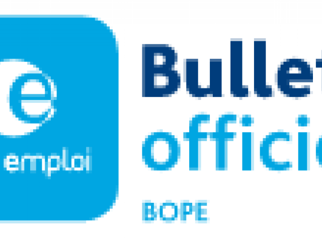 Logo BO Pôle emploi