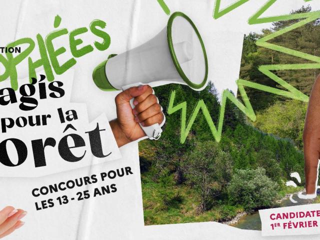 Visuel concours J'agis pour la forêt