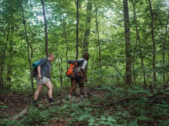 Photo randonnée en forêt