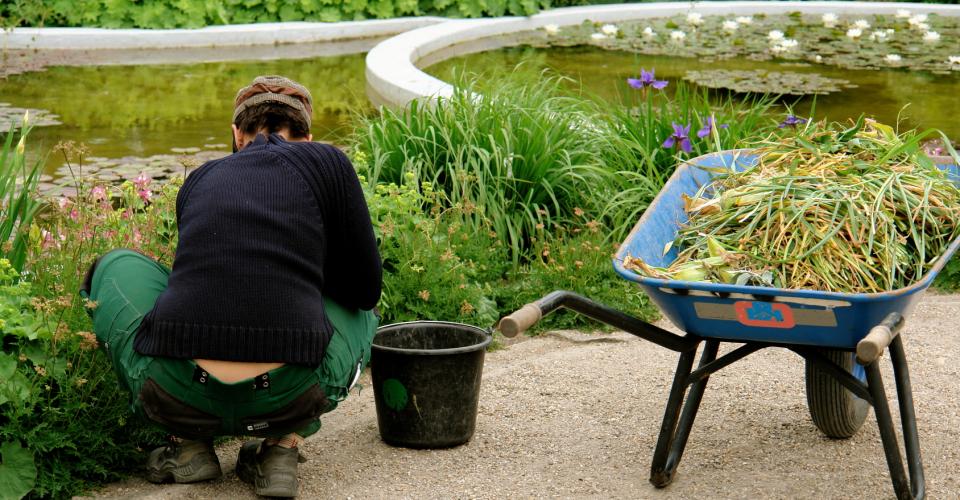 Jardinier travaillant en chantier d'insertion