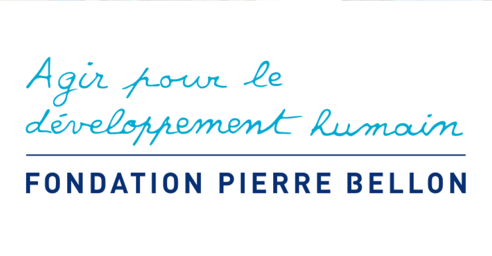 Logo Fondation Pierre Bellon