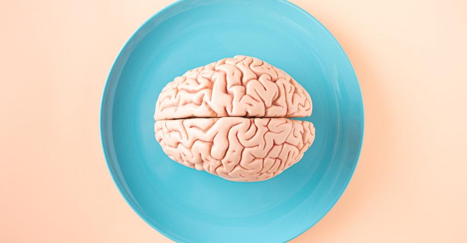 Photo de cerveau dans une assiette