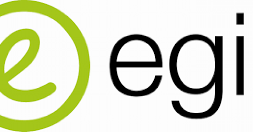 Offre de stage au sein du groupe Egis